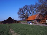 IMG00061